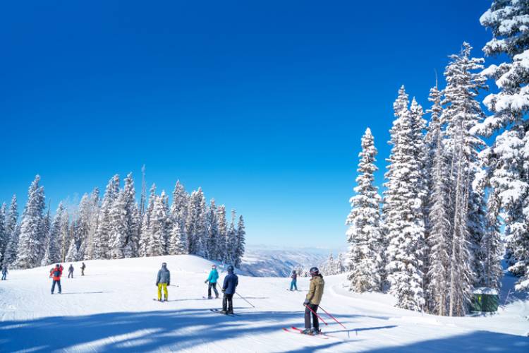 Telluride Ski Resort 202223 Vivid Vacation Rentals
